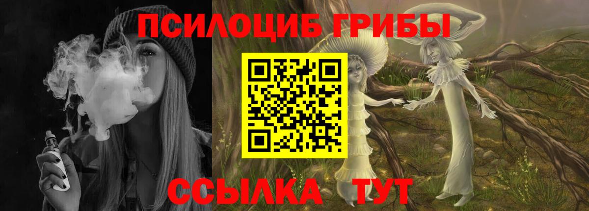Киселёвск  Псилоцибиновые грибы мухоморы  Вход с VPN 